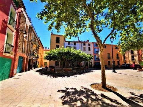 Studio 07 Argeles Sur Mer . La Plage A Pied, L'Espagne A 30 Mn Екстериор снимка